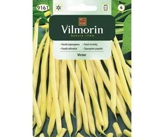 Vilmorin Šparaginių pupelių sėklos 20g VICTOR žemosios