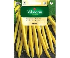 Vilmorin Šparaginių pupelių sėklos 30g MAXIDOR žemosios