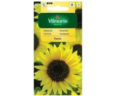 Vilmorin Stambiažiedžių saulėgrąžų sėklos 0.5g Pacino