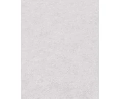 Viniliniai tapetai flizelino pagrindu ERISMANN 1221438 Melange, 1,06 x 10 m
