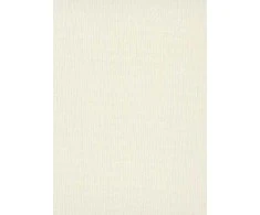 Viniliniai tapetai flizelino pagrindu ERISMANN SPOTLIGHT SOLID 1010714, 0,53 x 10,05 m