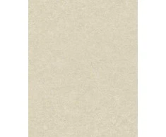 Viniliniai tapetai flizelino pagrindu GRANDECO A65603, 0,53 x 10,05 m