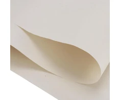 VYNIOJIMO POPIERIUS 300 VNT 43X68CM BEŽAS ŠILKAS AUKŠTA KOKYBĖ