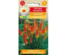 Knipofijų sėklos 0.5g