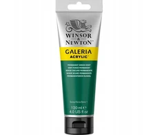 Winsor Newton Akriliniai dažai Galeria 120 ml - 482 Permanent Žalias Deep