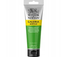 Winsor Newton Akriliniai dažai "galeria" 120 ml - "permanent Žalias Light"