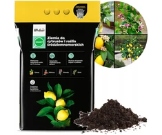 Wokas Soil Citrus Substratas 5l SMART