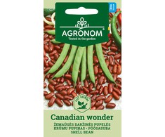 Žemaūgių daržinių pupelių CANADIAN WONDER sėklos, 10 g