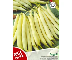 Žemaūgių daržinių pupelių sėklos BERGGOLD, 20g