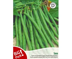Žemaūgių daržinių pupelių sėklos SAXA, 20 g