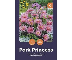 Žemaūgių dekoratyvinių jurginų svogūnėlis, lot. DAHLIA PARK PRINCESS, 1 vnt