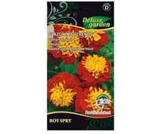 Žemaūgių serenčių sėklos Delux Garden 0.2g Boy Spry