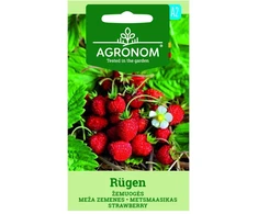 Žemuogių BOWLENZAUBER sėklos, 7 g