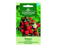 Žemuogių RUGEN sėklos, 0,1 g