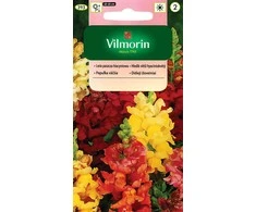 Žioveinių sėklos 1g Hyacinth snapdragon