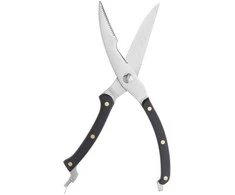 Tayloreye Žirklės paukštienai Taylor Eye Witness TETDH009, ilgis 25 cm