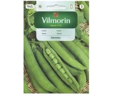 Žirnių sėklos Vilmorin 40g Television