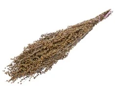 Žolelių puokštė kiečio