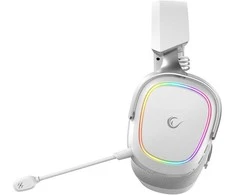Ausinės su mikrofonu Rampage RETSU Baltos/Pilkos Belaidės 2.4G Bluetooth