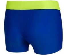 AQUA SPEED Boy's Leo Boxer Žalias/Mėlyna