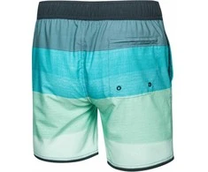 AQUA SPEED Men's Nolan Swim Shorts Pilkas/Mint
