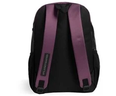 ARENA All Set 30L Plum backpack