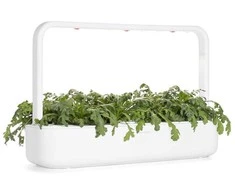 Click &amp; Grow Smart Garden pildymas Shungiku 3vnt