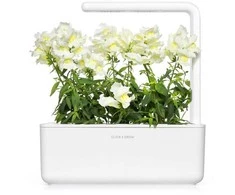 Click &amp; Grow Smart Garden Refill Baltas Snapdragon 3pcs SGR78X3 ()
