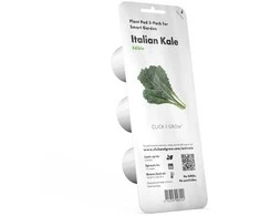 Click And Grow Click &amp; Grow sėklos išmaniajam vazonui - Kale kopūstai (Italian Kale) 3vnt.