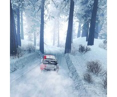 WRC kartos PS4