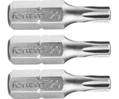 Atsuktuvų antgalis T20 x 25 mm S2 3vnt. FORTUM 4741420