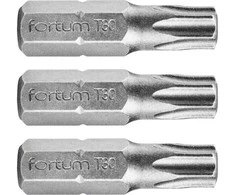 Atsuktuvų antgalis T30 x 25 mm S2 3vnt. FORTUM 4741430