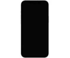 Apple iPhone 12 Pro Max 512GB Sidabrinis (Atnaujintas, būklė kaip naujas)