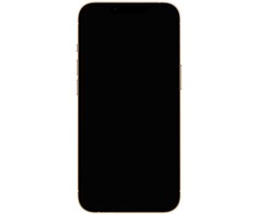 Apple iPhone 13 Pro 1TB Auksinis (Atnaujintas, būklė kaip naujas)