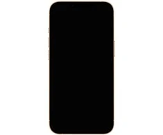 Apple iPhone 13 Pro Max 1TB Auksinis (Atnaujintas, būklė kaip naujas)