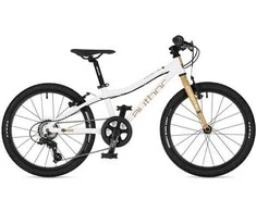 Author Cosmic 20 Extreme Baltas/Medal Gold 2026