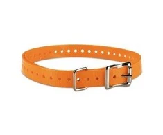 Garmin 3/4" antkaklis šunims Oranžinis (plotis 1,9cm; ilgis 68cm)