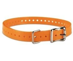 Garmin 3/4" antkaklis šunims Oranžinis (plotis 1,9cm; ilgis 68cm)