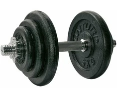 Svarmenų rinkinys Tunturi, 20 kg