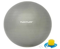 Tunturi Gymball 65cm, sidabrinis