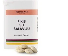 PIKIS SU ŠALAVIJU