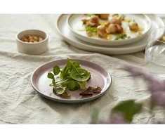 BITZ Gastro lėkštė, pilka/šviesiai rožinė 17 cm