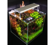 Skylight ENTRIQ F6XL. 150AH