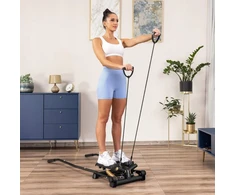 Gymtek Steperis su pasukimo funkcija