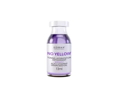 Korban Professional Korban No Geltona plaukų atstatymo procedūra, 13 ml