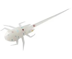 13 Fishing Spiningavimo masalas 13Fishing B.A.M.F. 3cm (6 vnt.)