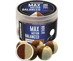 Haldorado Max Motion Boilie Balanced 20mm - Coconut &amp; Tigernut