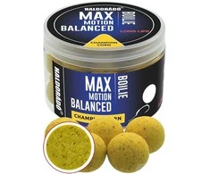Haldorado Max Motion Boilie Balanced 20mm - Champion Corn