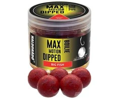 Haldorado Max Motion Boilie Dipped 20mm - Big Fish
