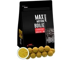 Haldorado Max Motion boiliai Long Life 24mm 800g - Champion Corn